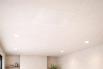 Drywall Ceiling Repair